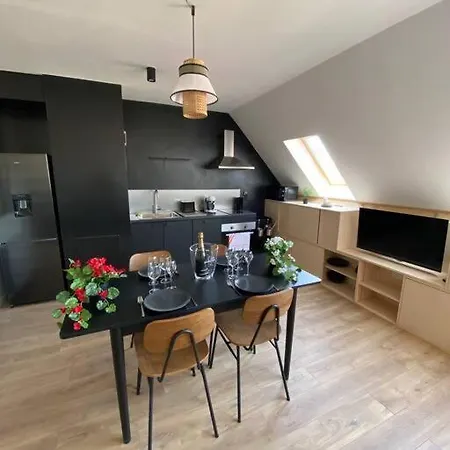 E Centre Ville Professeur Langevin Spacieux Cosy Épernay Esterno foto