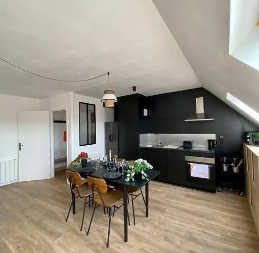 E Centre Ville Professeur Langevin Spacieux Cosy