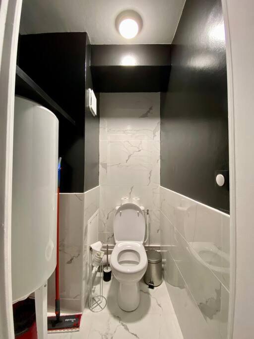 Appartement E Centre Professeur Langevin Spacieux Cosy Épernay